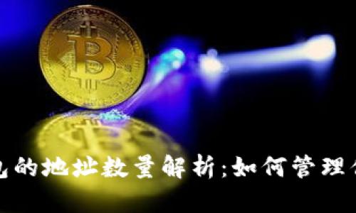 2023年冷钱包的地址数量解析：如何管理你的数字资产？