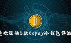 2023年最受欢迎的5款Copay冷