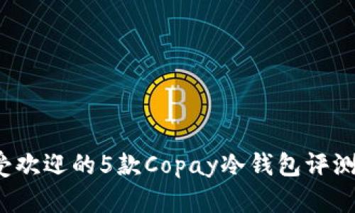 2023年最受欢迎的5款Copay冷钱包评测及选择指南