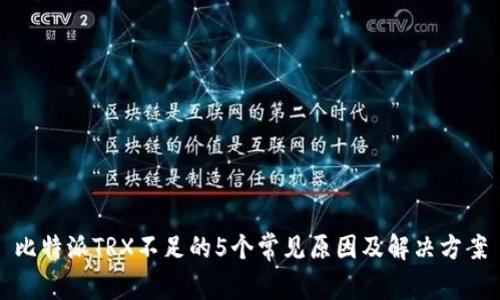比特派TRX不足的5个常见原因及解决方案