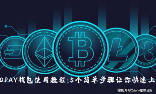 KDPAY钱包使用教程：5个简单步骤让你快速上手