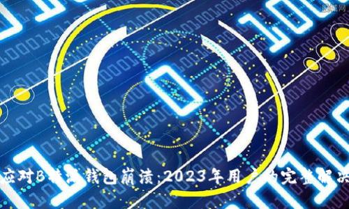 如何应对B特派钱包崩溃：2023年用户的完整解决方案