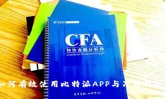 深入解析：如何有效使用