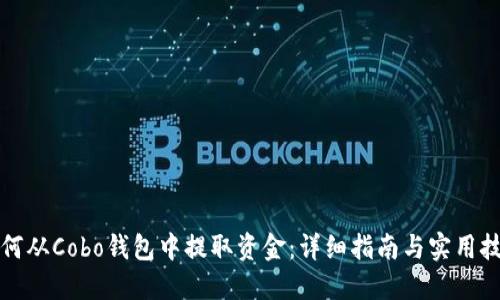 如何从Cobo钱包中提取资金：详细指南与实用技巧