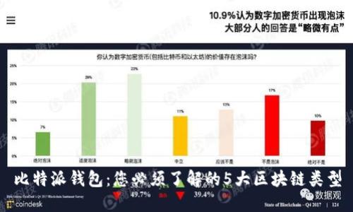 比特派钱包：您必须了解的5大区块链类型