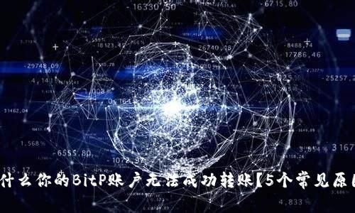 深度解析：为什么你的BitP账户无法成功转账？5个常见原因及解决方案