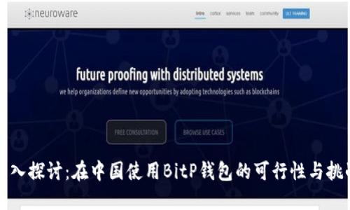 深入探讨：在中国使用BitP钱包的可行性与挑战
