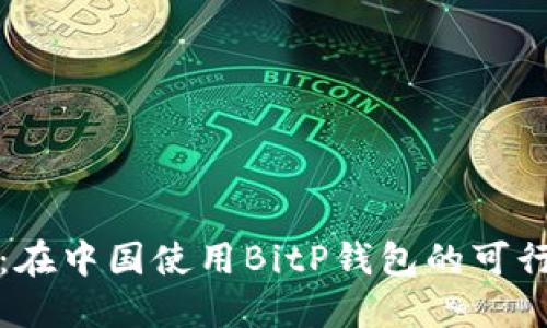 深入探讨：在中国使用BitP钱包的可行性与挑战