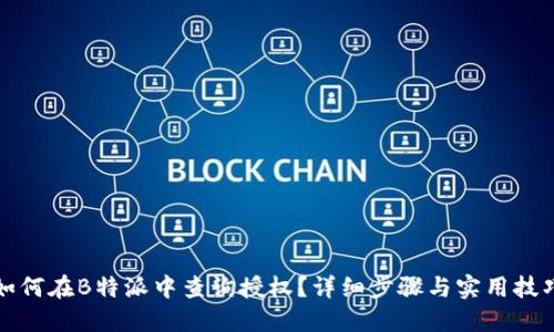 如何在B特派中查询授权？详细步骤与实用技巧
