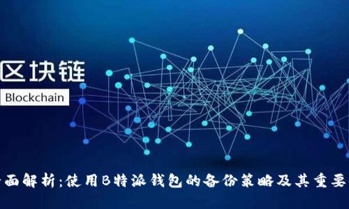 全面解析：使用B特派钱包的备份策略及其重要性