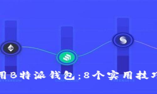 如何高效使用B特派钱包：8个实用技巧与注意事项