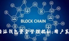 2023年比特派钱包资金管理