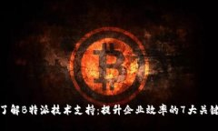 全面了解B特派技术支持：