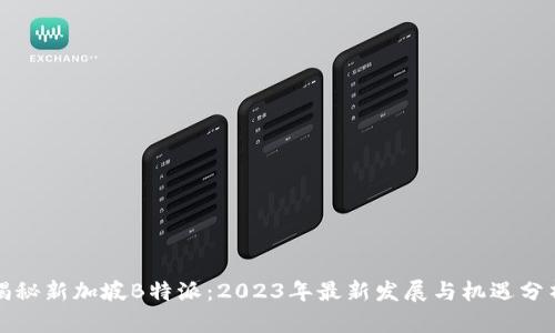 揭秘新加坡B特派：2023年最新发展与机遇分析