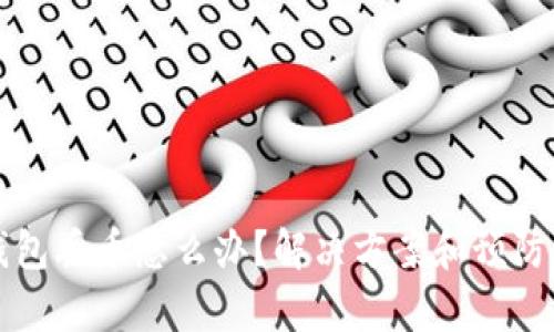 比特派钱包丢币怎么办？解决方案和预防措施分析