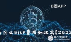 深入分析：为什么BitP费用
