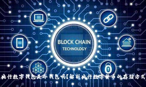 央行数字钱包是冷钱包吗？解析央行数字货币的存储方式