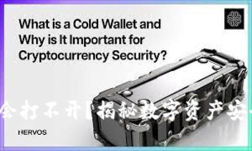 冷钱包App是否会打不开？揭秘数字资产安全性与使用体验