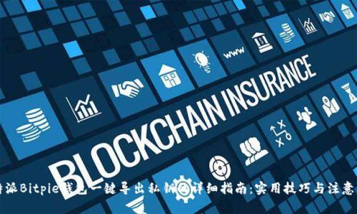 比特派Bitpie钱包一键导出私钥的详细指南：实用技巧与注意事项