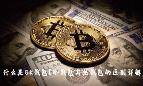 什么是BK钱包？冷钱包与热钱包的区别详解