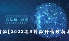 什么是B特派？2023年B特派