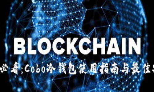 2023年必看：Cobo冷钱包使用指南与最佳安全实践