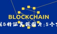 如何辨别B特派真假图片：