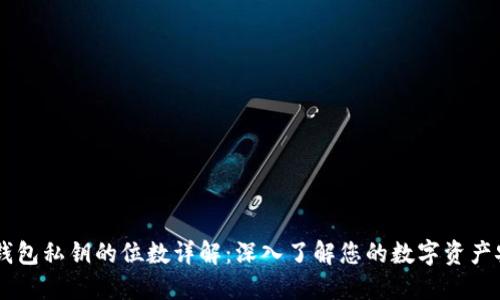 BK钱包私钥的位数详解：深入了解您的数字资产安全