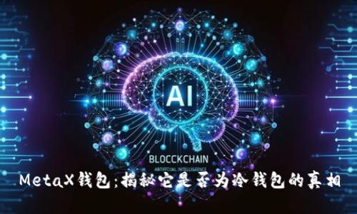 MetaX钱包：揭秘它是否为冷钱包的真相