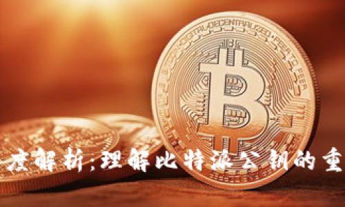 比特派公钥的深度解析：理解比特派公钥的重要性及使用场景