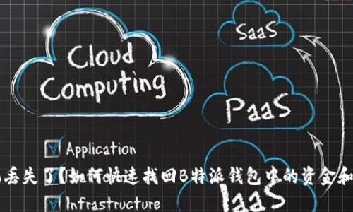 手机丢失了？如何快速找回B特派钱包中的资金和信息