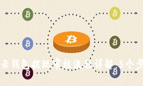 2023年B特派云钱包提现审核流程详解：5个步骤与常见问题