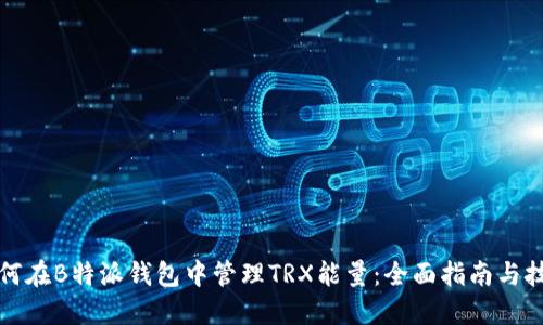 如何在B特派钱包中管理TRX能量：全面指南与技巧