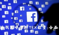 如何在B特派钱包中管理