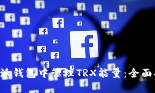 如何在B特派钱包中管理TRX能量：全面指南与技巧