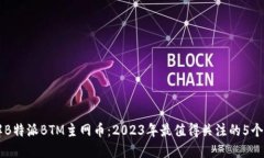 深入了解B特派BTM主网币：