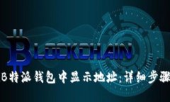 如何在B特派钱包中显示地