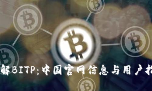 了解BITP：中国官网信息与用户指南