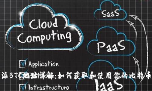 比特派BTC地址详解：如何获取和使用你的比特币地址