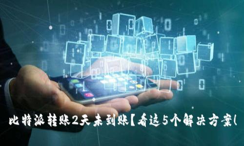 比特派转账2天未到账？看这5个解决方案！