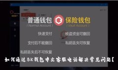 如何通过BK钱包中文客服电