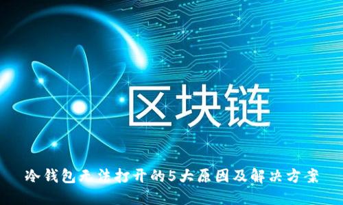 冷钱包无法打开的5大原因及解决方案