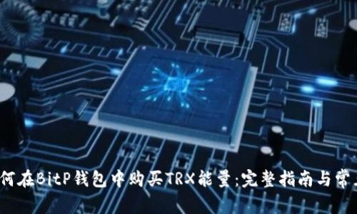 2023年如何在BitP钱包中购买TRX能量：完整指南与常见问题解答