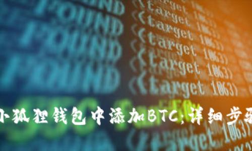 如何在小狐狸钱包中添加BTC：详细步骤与技巧