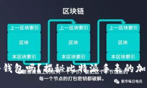 比特派手表是冷钱包吗？揭秘比特派手表的加密货币管理特性