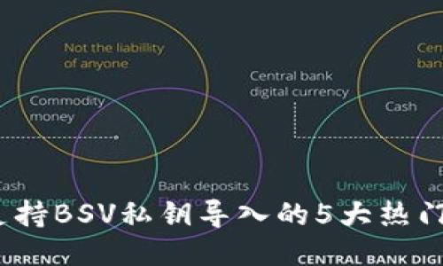2023年支持BSV私钥导入的5大热门钱包评测