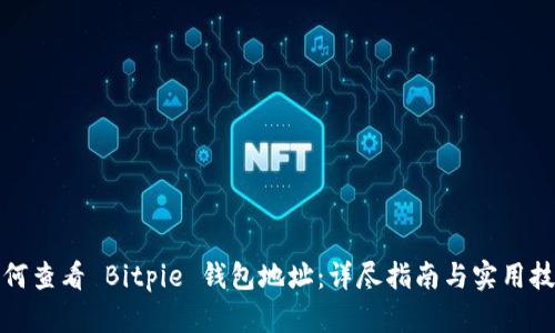 如何查看 Bitpie 钱包地址：详尽指南与实用技巧
