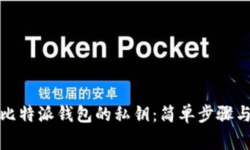 如何查看比特派钱包的私钥：简单步骤与注意事项