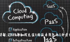 详解：2023年如何充值B特派