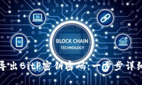 如何导出BitP密钥密码：一步步详细指南